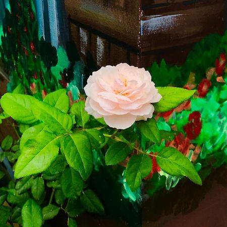 Gia Hung Motel Vung Tau Eksteriør bilde